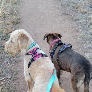 Fundraising Page: Tonya Sweater